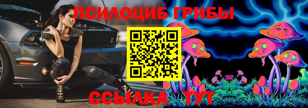 Псилоцибиновые грибы мухоморы  Вход с VPN  Псилоцибиновые грибы прущие грибы  Котлас 