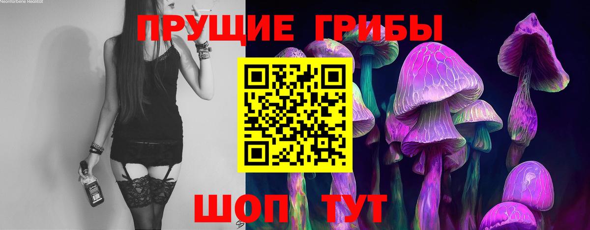 Псилоцибиновые грибы ЛСД Котлас